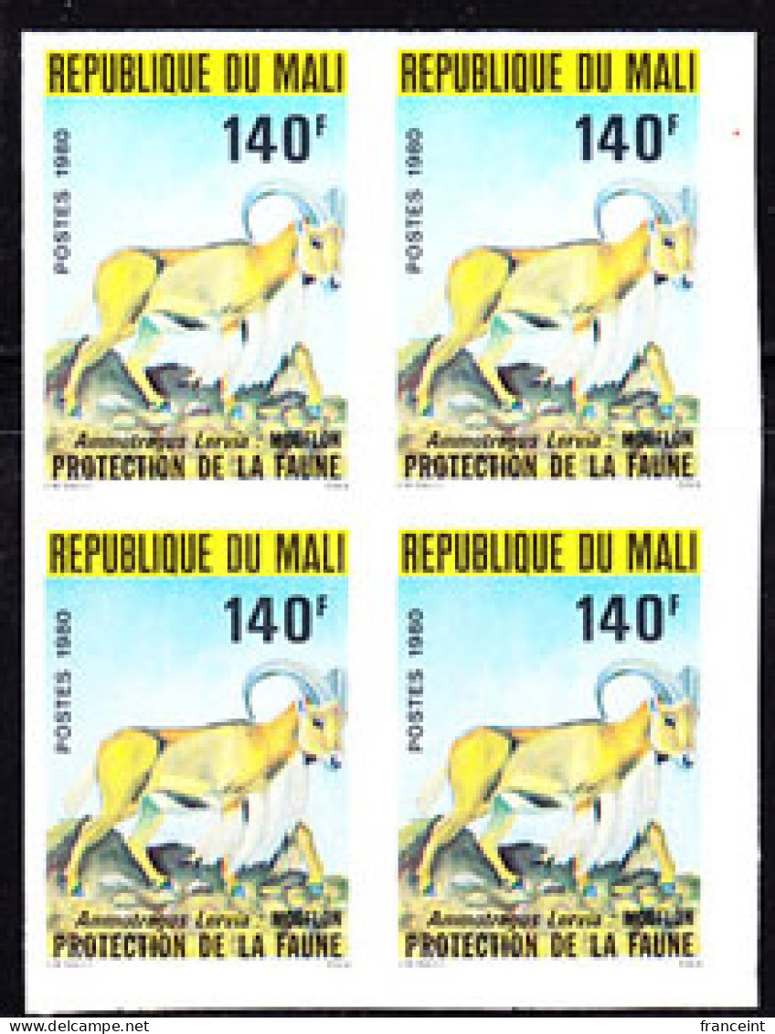 MALI(1980) Mouflon. Imperforate Block Of 4. Scott No 361, Yvert No 362.  - Mali (1959-...)