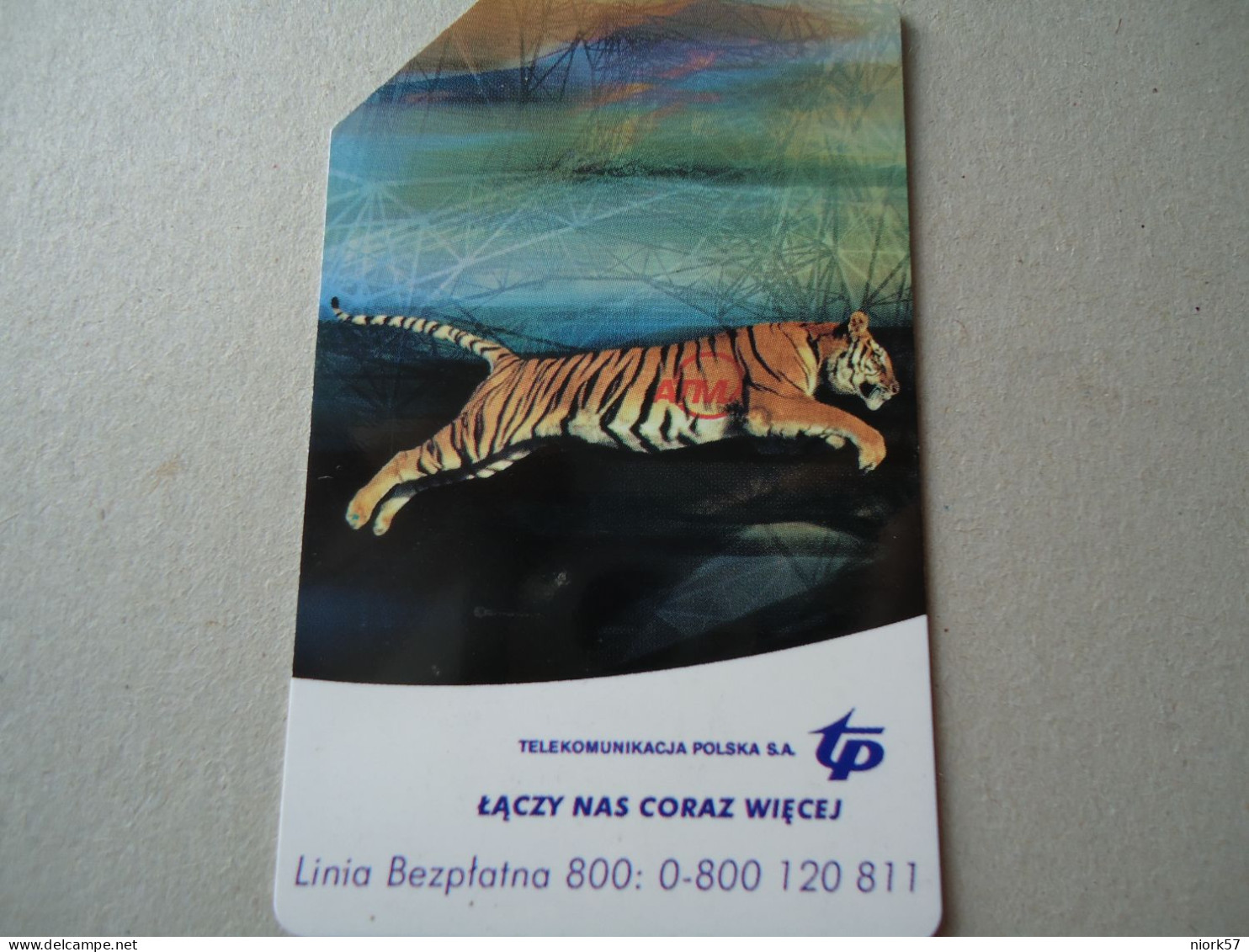 POLAND  USED CARDS  TIGER - Jungle