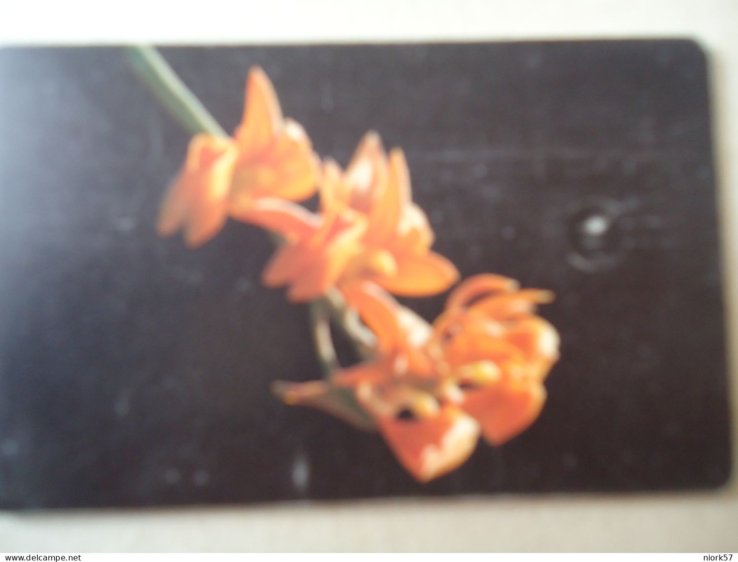 VENEZUELA USED CARDS FLOWERS ORCHIDS - Flores