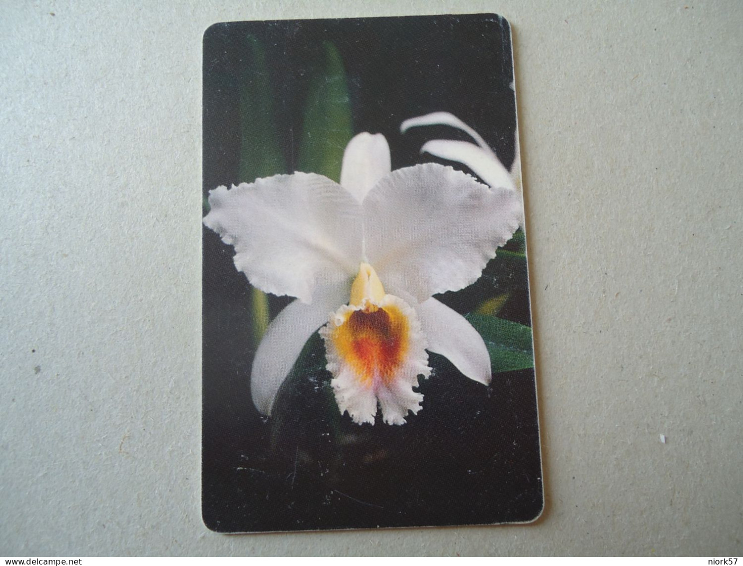 VENEZUELA USED CARDS FLOWERS ORCHIDS - Flowers