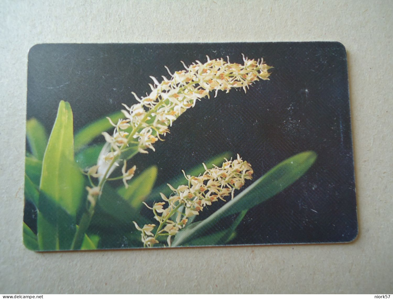 VENEZUELA USED CARDS FLOWERS ORCHIDS - Blumen