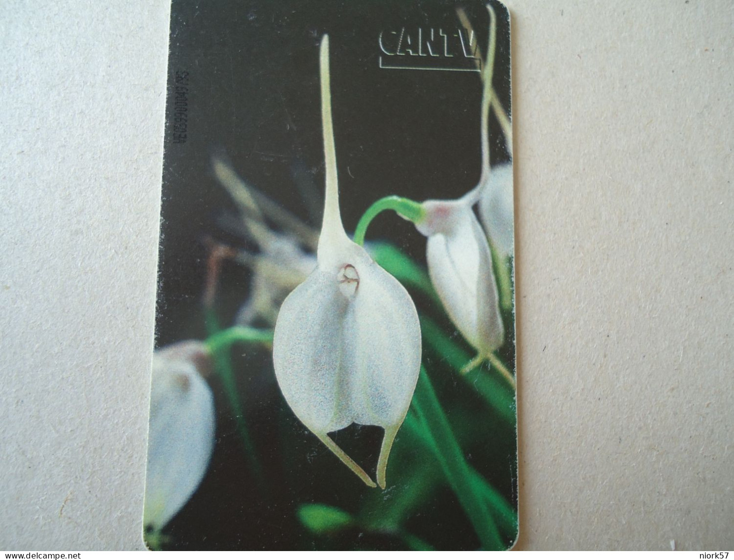 VENEZUELA USED CARDS FLOWERS ORCHIDS - Flowers