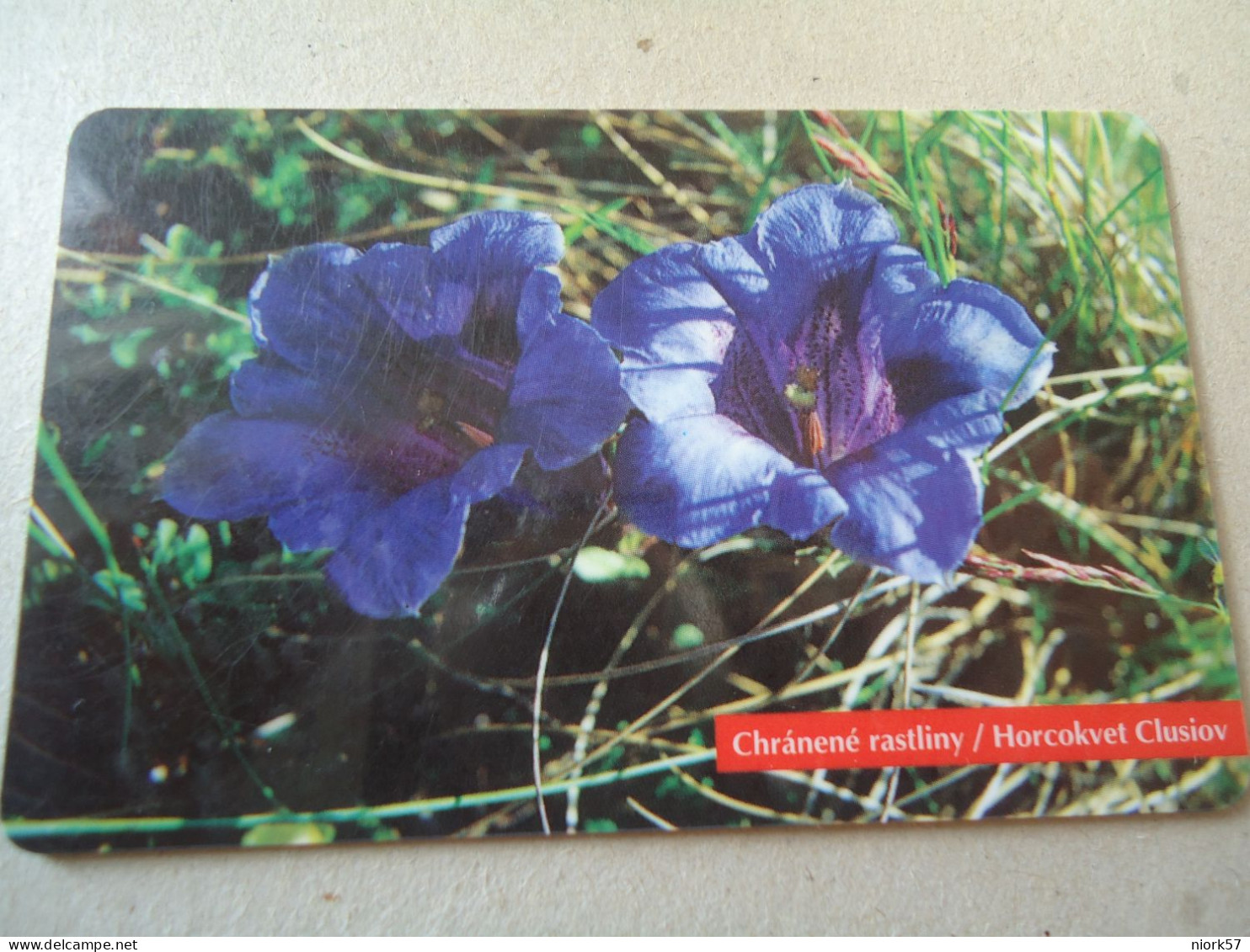 SLOVAKIA  USED   PHONECARDS  FLOWERS - Fleurs