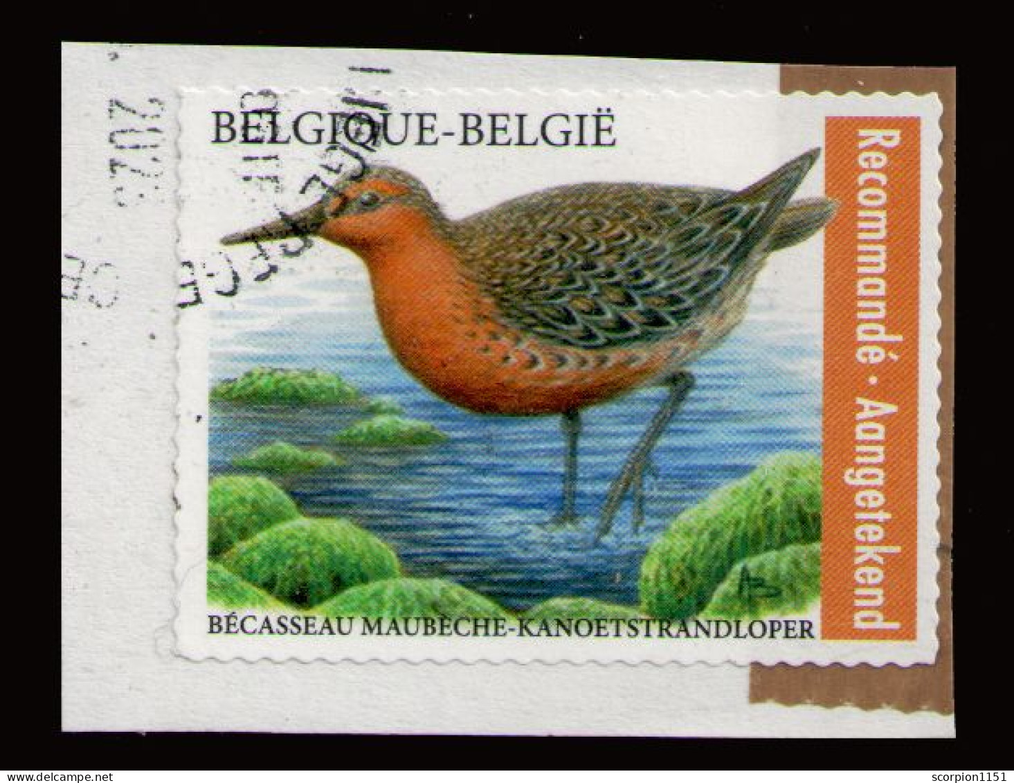 BELGIUM 2023 - From Set Used - Usati