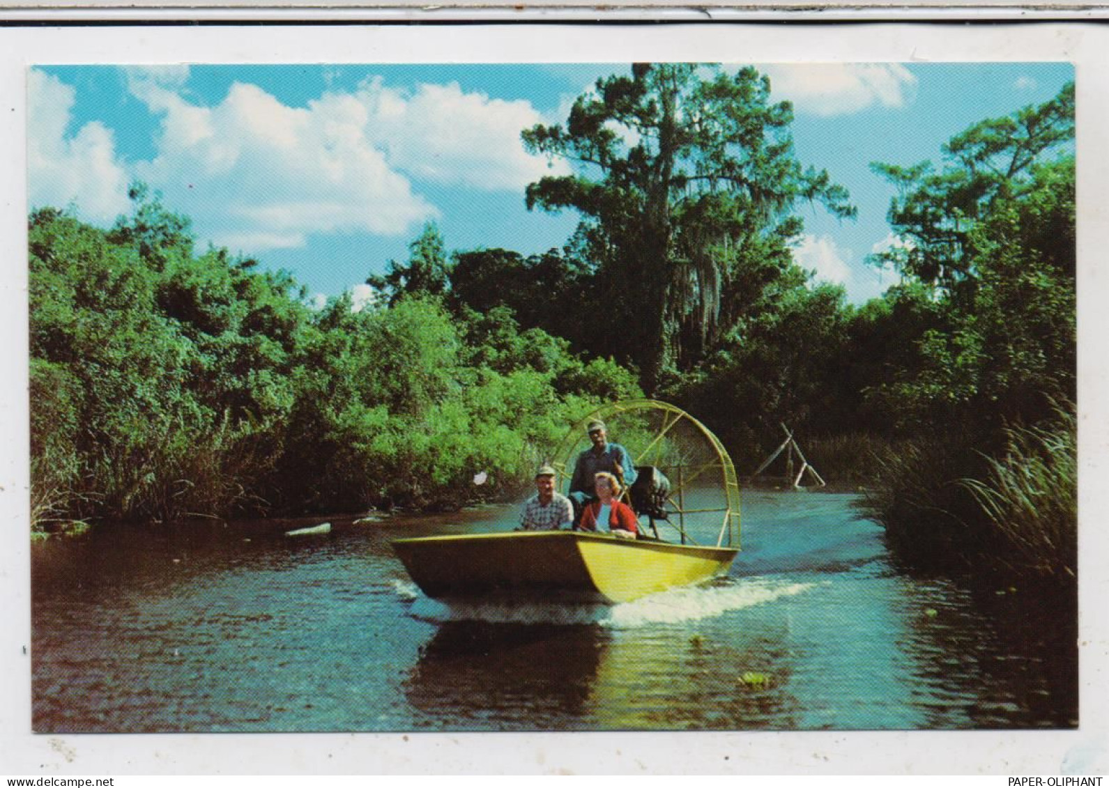 USA - FLORIDA - NAPLES - OCHOPEE, Airboat Tours On Turner's River, Everglades - Naples