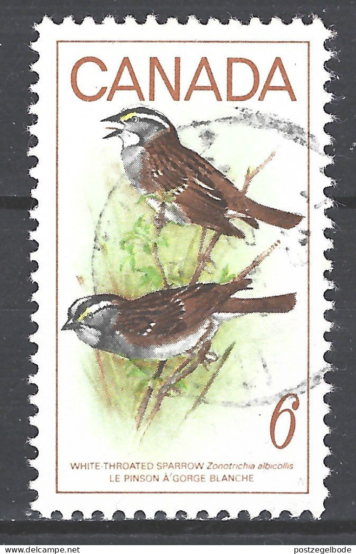 Canada Used  Wikeelgors White Throated Sparrow Vogel Bird Ave Oiseau - Sparrows