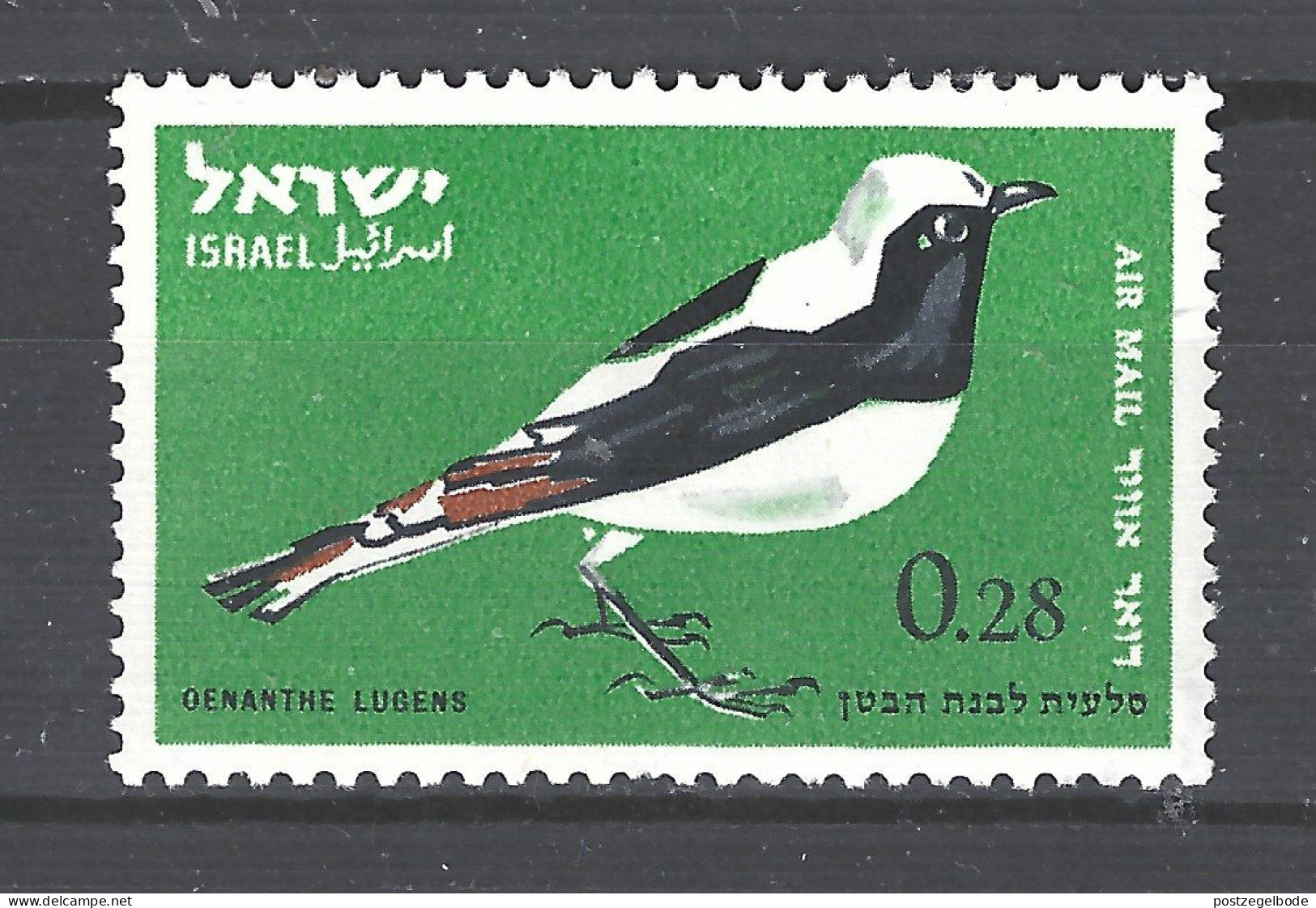 Israel MNH  Rouwtapuit Mourning Wheatear Vogel Bird Ave Oiseau - Moineaux
