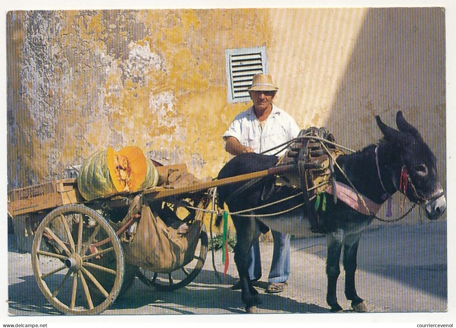 CPM - MALTE - Street Hawker - Sellin Vegetables - Victoria (Gozo) - Mercaderes