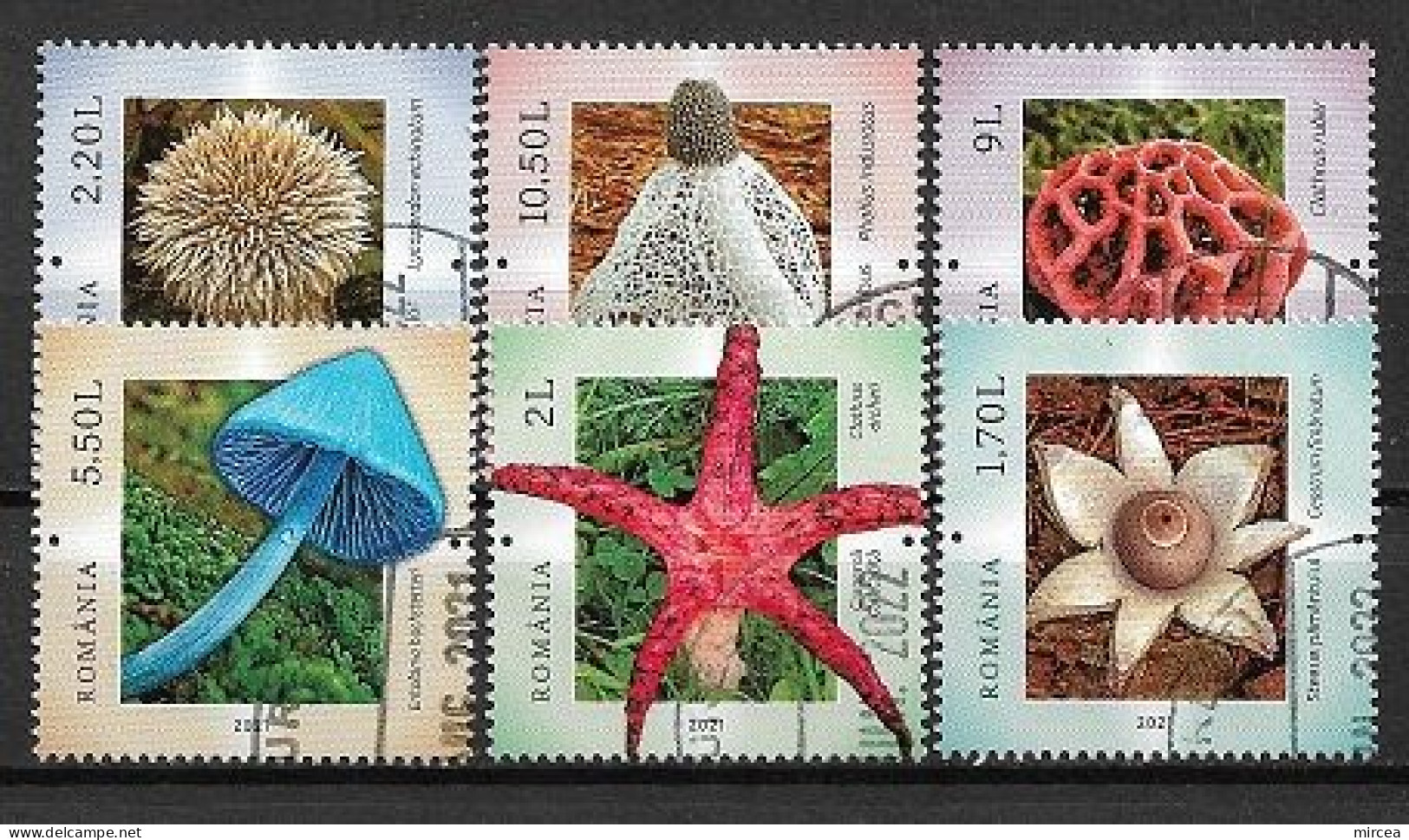 C3934 - Roumanie 2021 - Champignons 6v.obliteres - Used Stamps