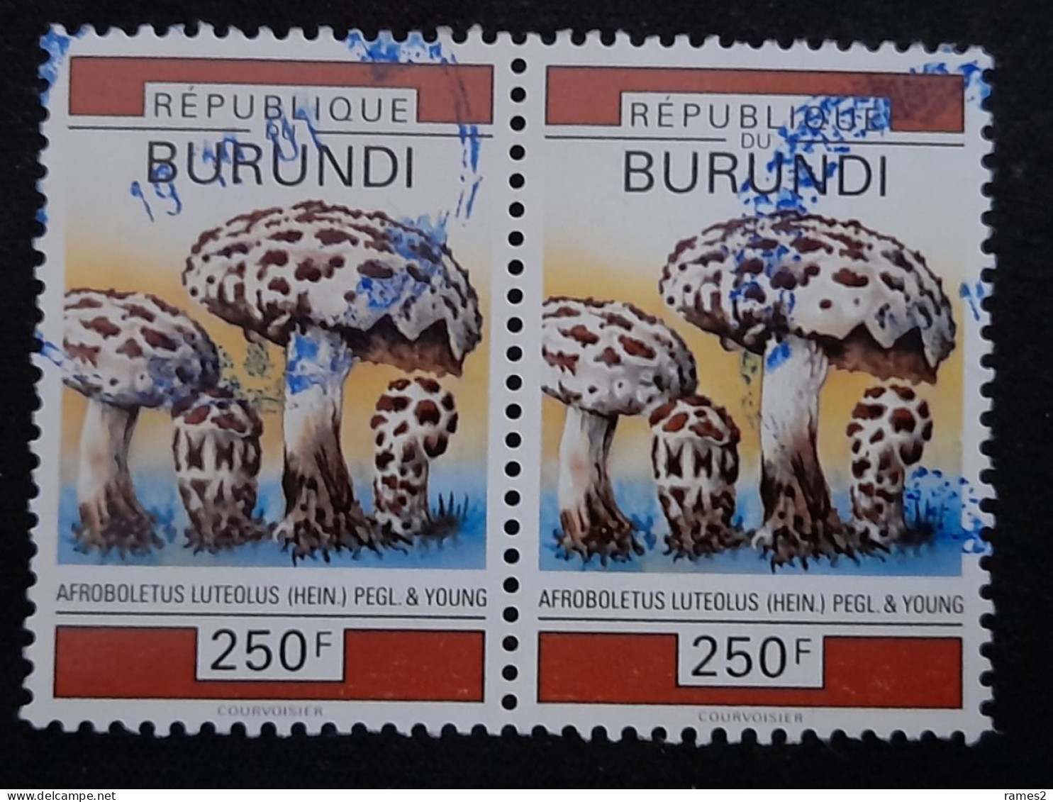 > Afrique > Burundi > 1990-1999 > Oblitérés  N°979 - Usati
