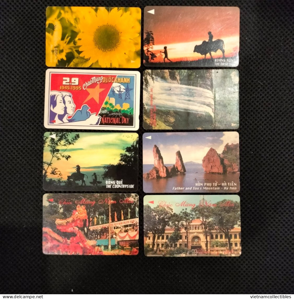 Full Collection Of Viet Nam Vietnam Used Magnetic Phonecards / Phonecard  / 20 Photos Including Backsides - Viêt-Nam