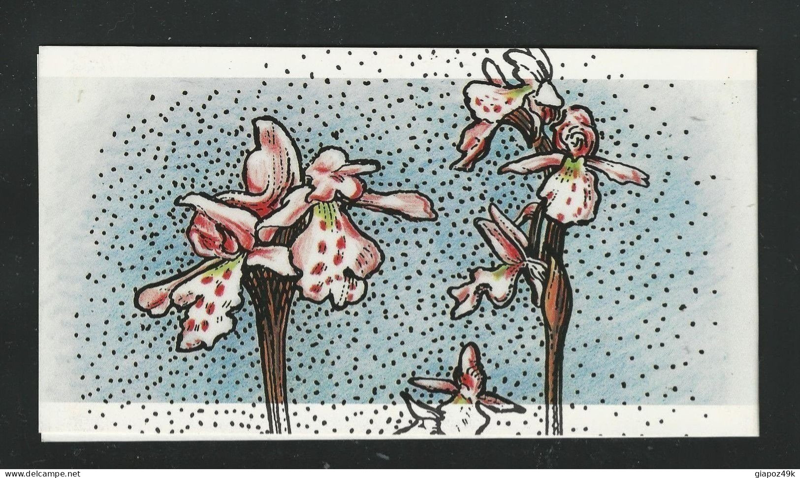 ● GRONLAND 1996 ֎ Regina Margherita II E Orchidee ֎ Libretto L272A ● Cat. 45,00 € ● Lotto N. XX ● - Carnets