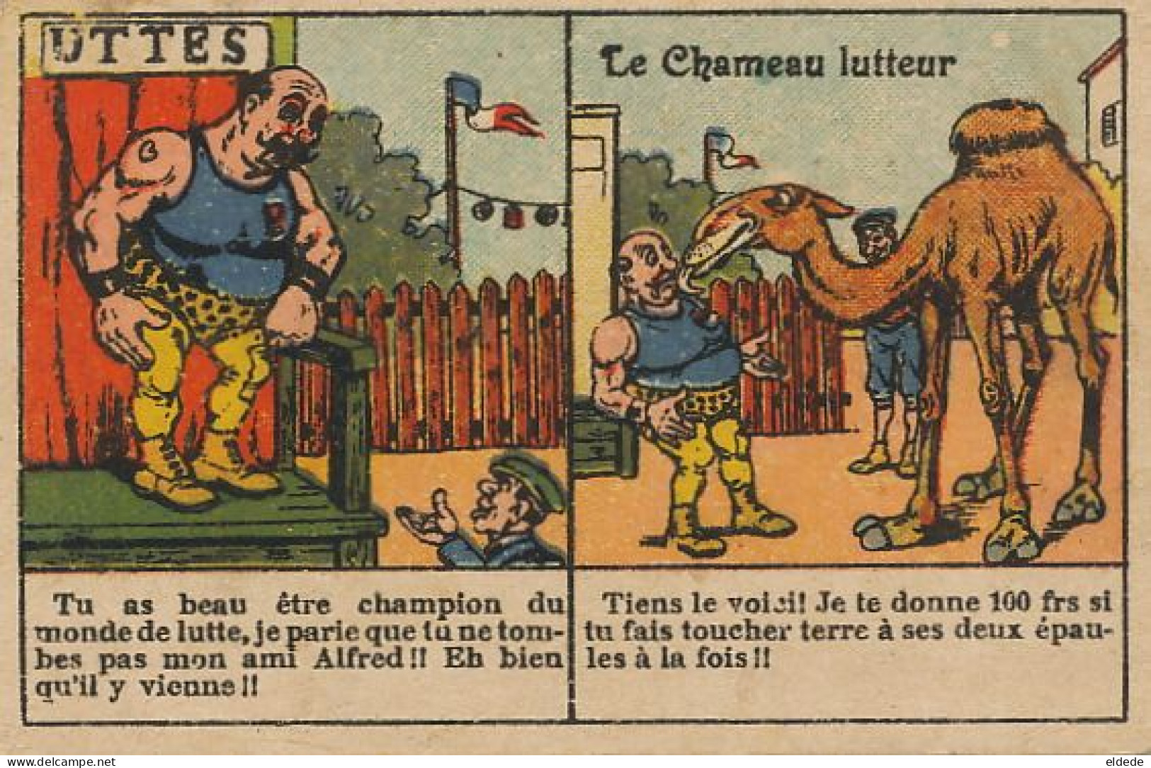 Lutte Champion Du Monde Chameau Wrestling Wrestler And Camel Chromo Pub Fermière Bethune - Lutte