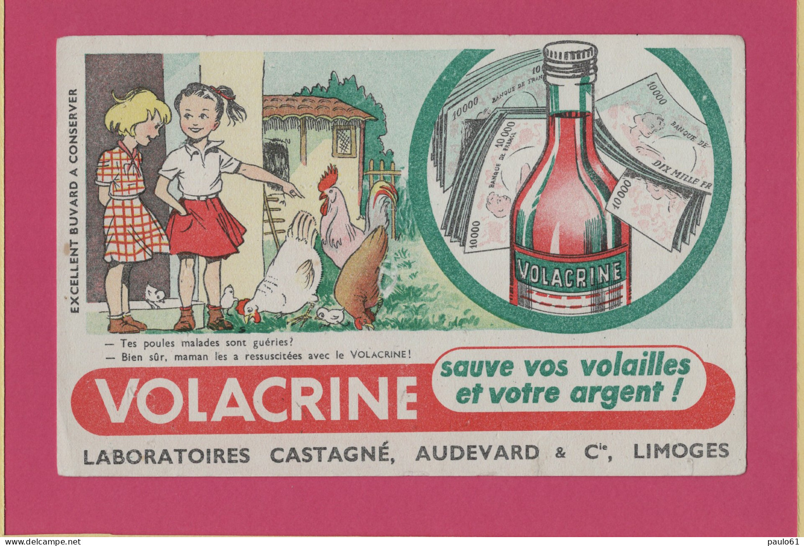 BUVARD & Blotting Paper :  VOLACRINE Poule Coq Laboratoire CASTAGNE - Animals