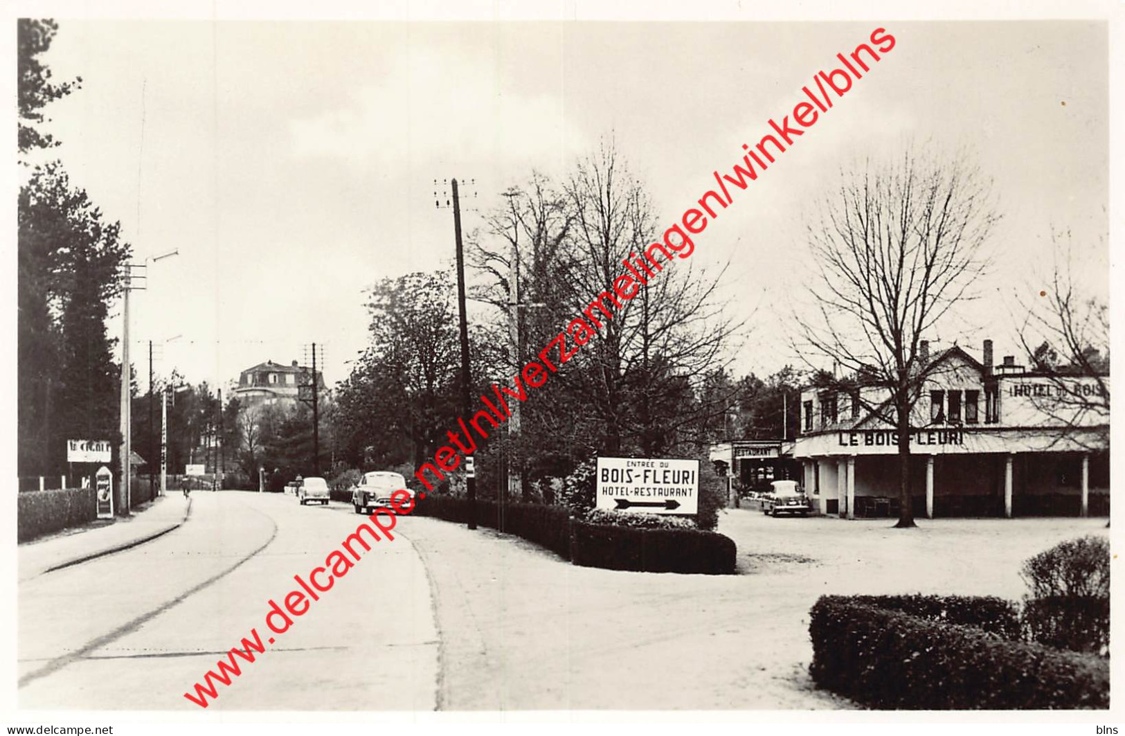 Le Bois Fleuri - Sans Souci - Keerbergen - Keerbergen