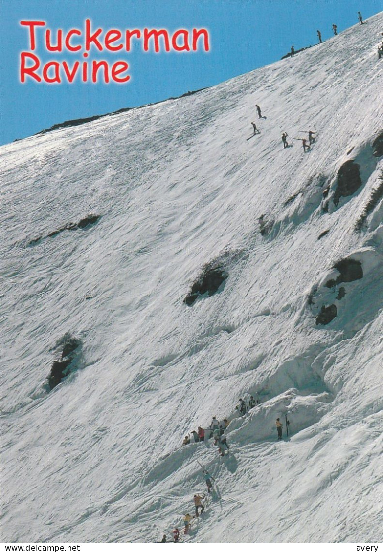 Tuckerman Ravine, Mount Washington, New Hampshire - White Mountains