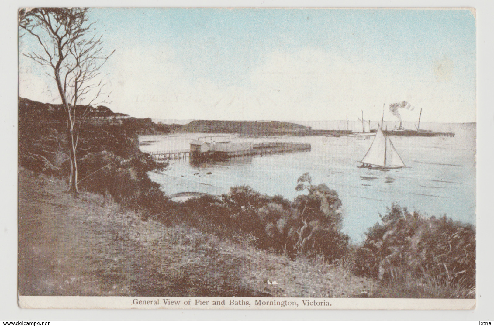 Australia VICTORIA VIC Yachts Pier & Swimming Baths MORNINGTON Postcard C1906 Used To Tasmania - Mornington Peninsula