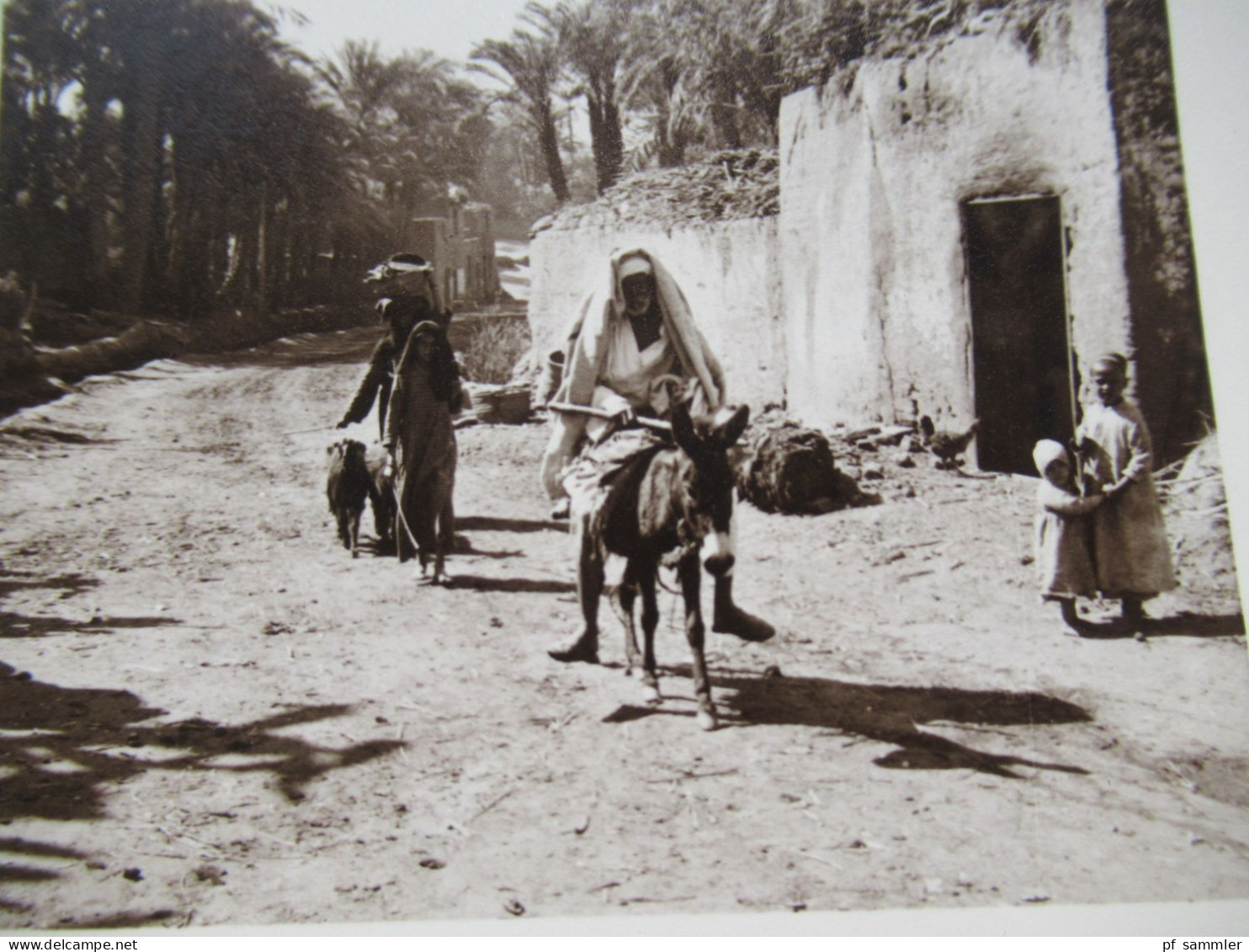 Afrika Ca. 1930 / 40er Jahre ?! Fotokarte / Klappkarte / Mann Auf Einem Esel / Kinder Und Tiere! - Africa