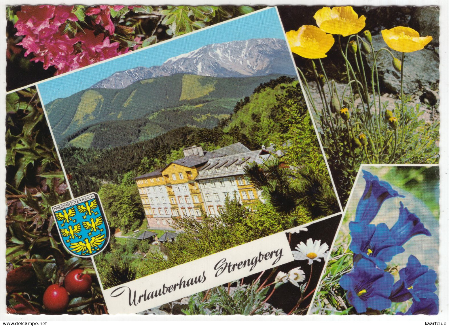 Puchberg Am Schneeberg, NÖ - 'Urlauberhaus Strengberg'der Wiener Verkehrsbetriebe  - (Österreich/Austria) - Schneeberggebiet