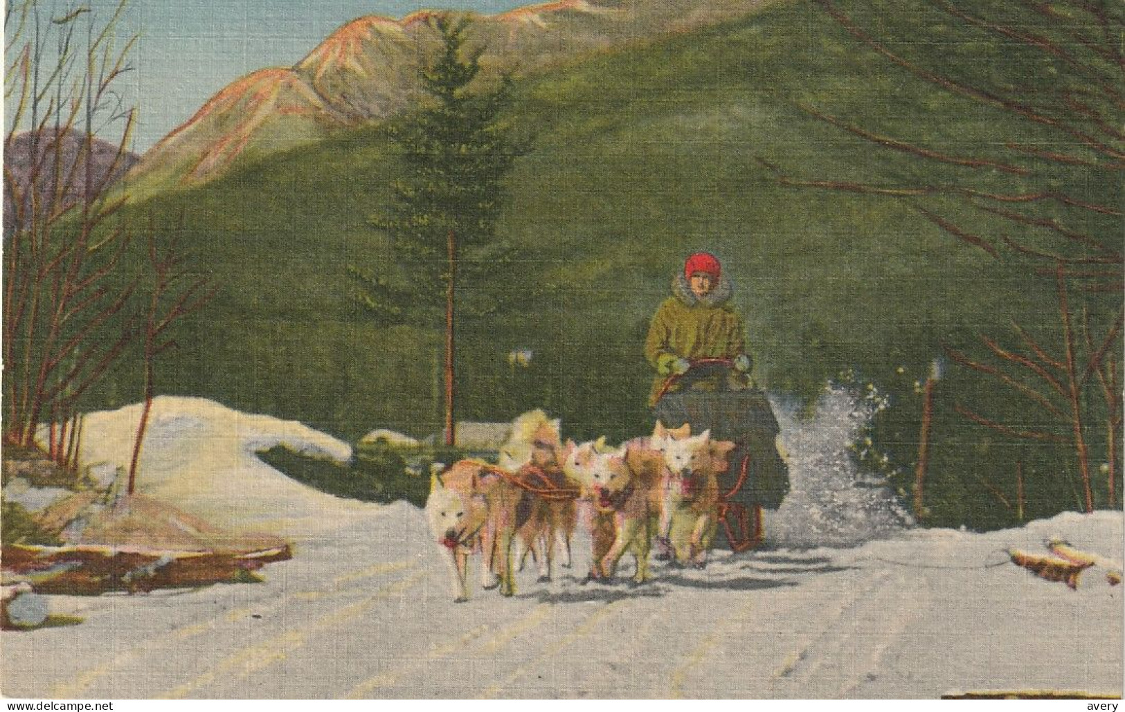 North Woodstock, New Hampshire A Team Of Ed Clark's Eskimo Sled Dogs In Action - White Mountains