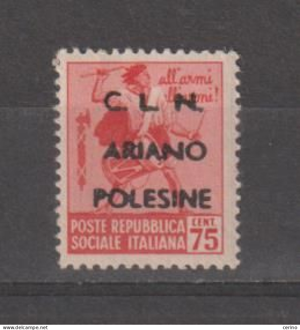 R.S.I. - C.L.N.:  1944  ARIANO  POLESINE  -  75 C. TAMBURINO  ROSA  CARMINIO  N. - - Lokale/autonome Uitgaven