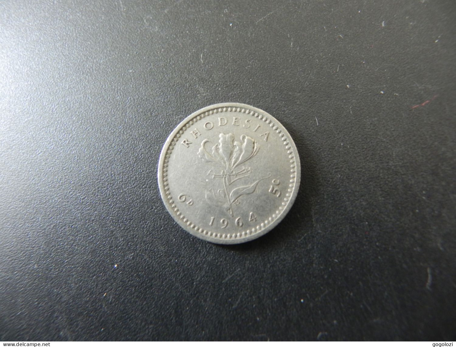 Rhodesia 5 Cents 1964 - Rhodesia