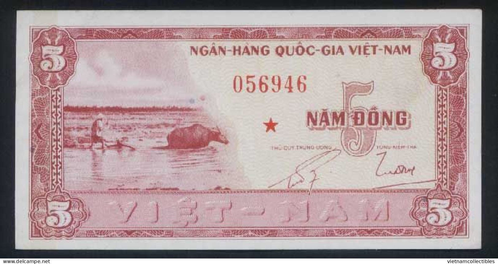 South Vietnam Viet Nam 5 Dong UNC REPLACEMENT Banknote Note 1955 - Pick # 13 - Viêt-Nam