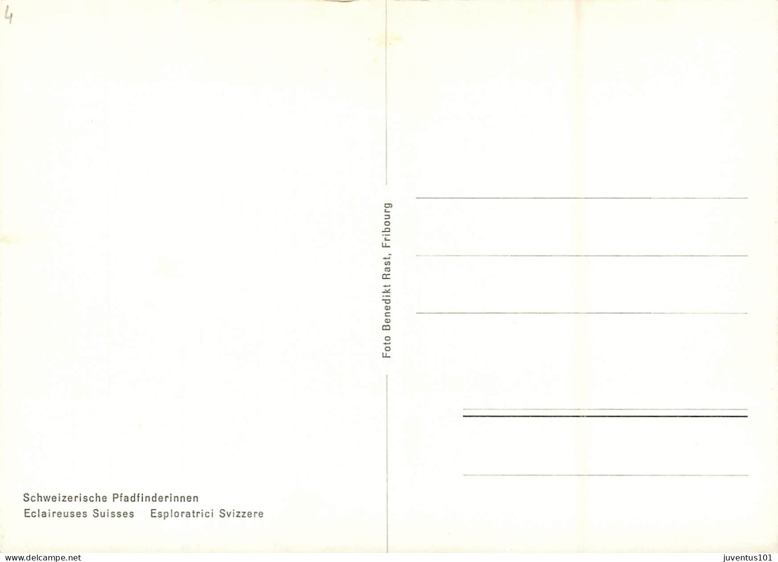 CPSM Schweizerische Pfadfinderinnen-Eclaireuses Suisses-Esploratrici Svizzere- Vigne, Vendanges, Raisin - RARE     L2260 - Risch-Rotkreuz