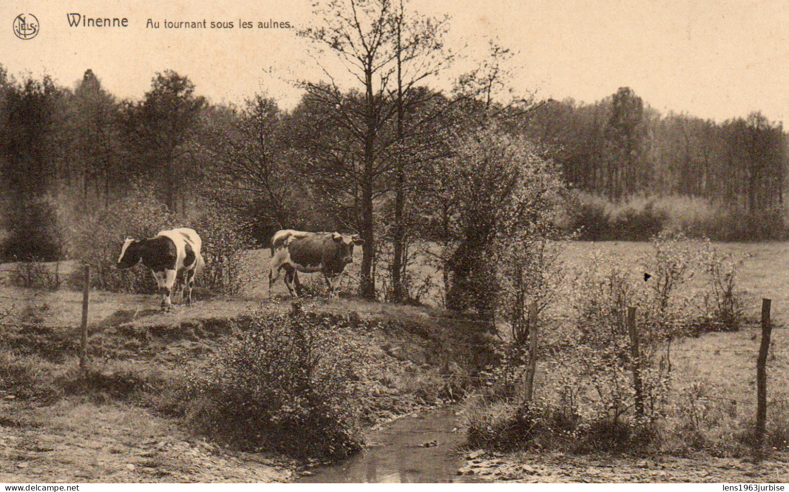 Wienne , Au  Tournant Sous Les Aulnes - Beauraing