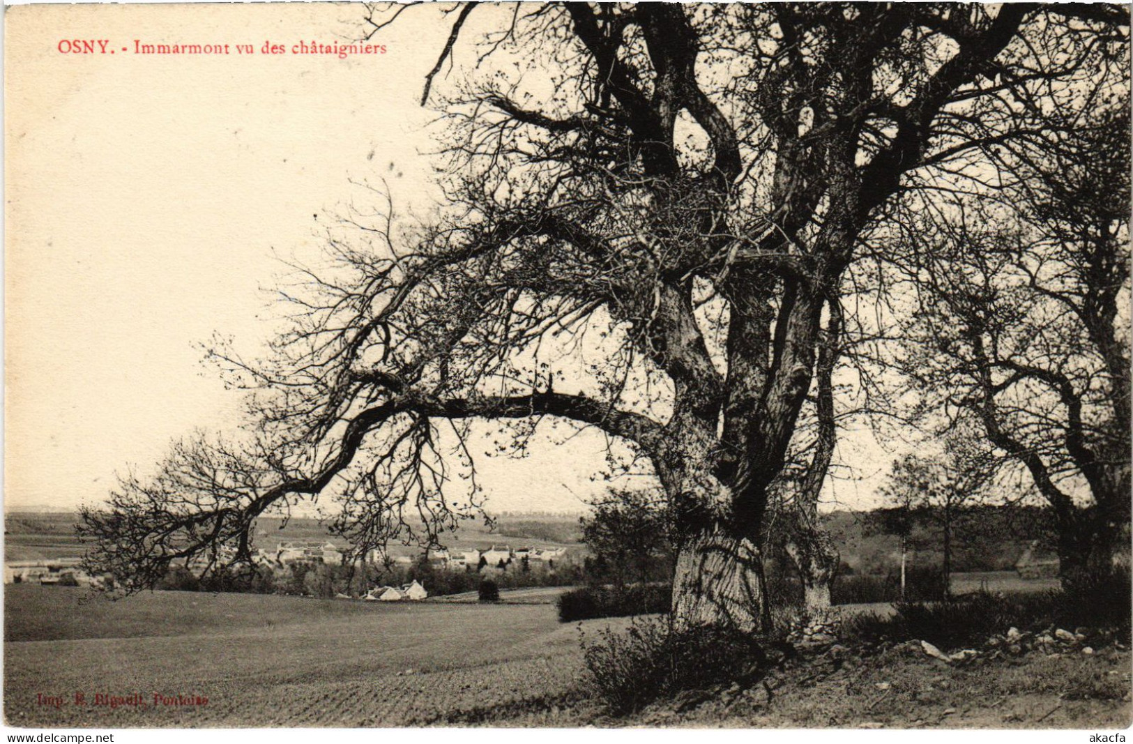 CPA Osny Immarmont Vu Des Chataigniers (1317816) - Osny