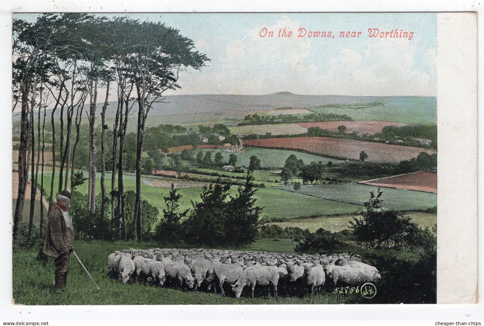 On The Downs Near WORTHING - Valentine 52856 - Shepherd And Flock Of Sheep - Worthing