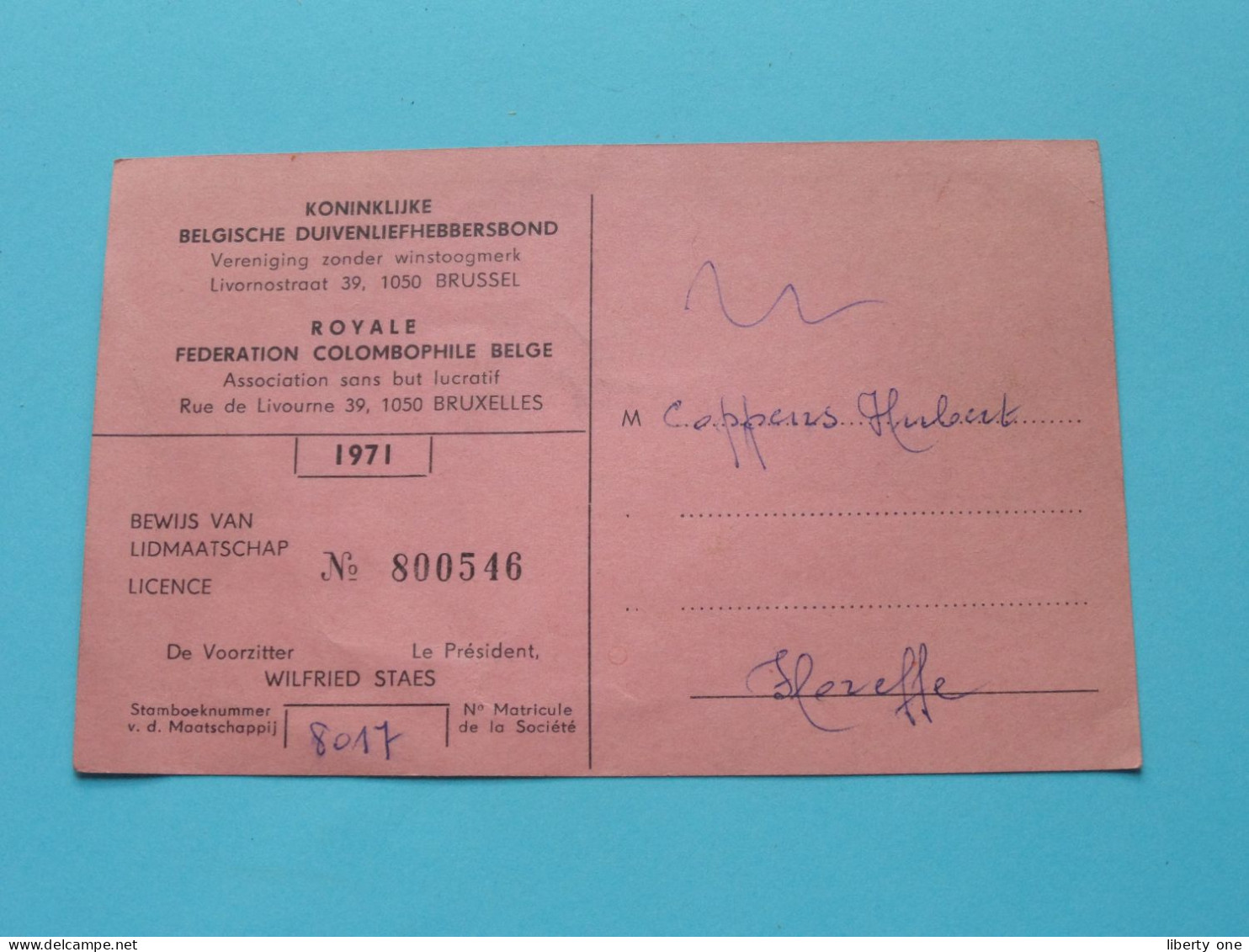 Koninklijke Belgische Duivenliefhebbersbond / Royale Federation Colombophile Belge ( Zie / Voir SCANS ) 1971 ! - Mitgliedskarten