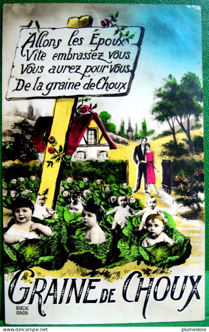 Cpa  ENFANTS . BEBES MULTIPLES DANS UN JARDIN . CHOUX.  MULTI BABIES IN A  GARDEN . CABBAGE PHOTO MONTAGE  OLD PC - Groupes D'enfants & Familles