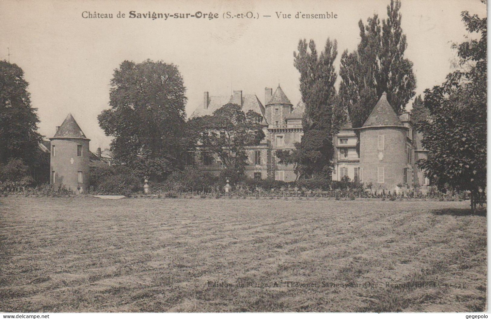 SAVIGNY Sur ORGE - Château - Vue D'ensemble - Savigny Sur Orge