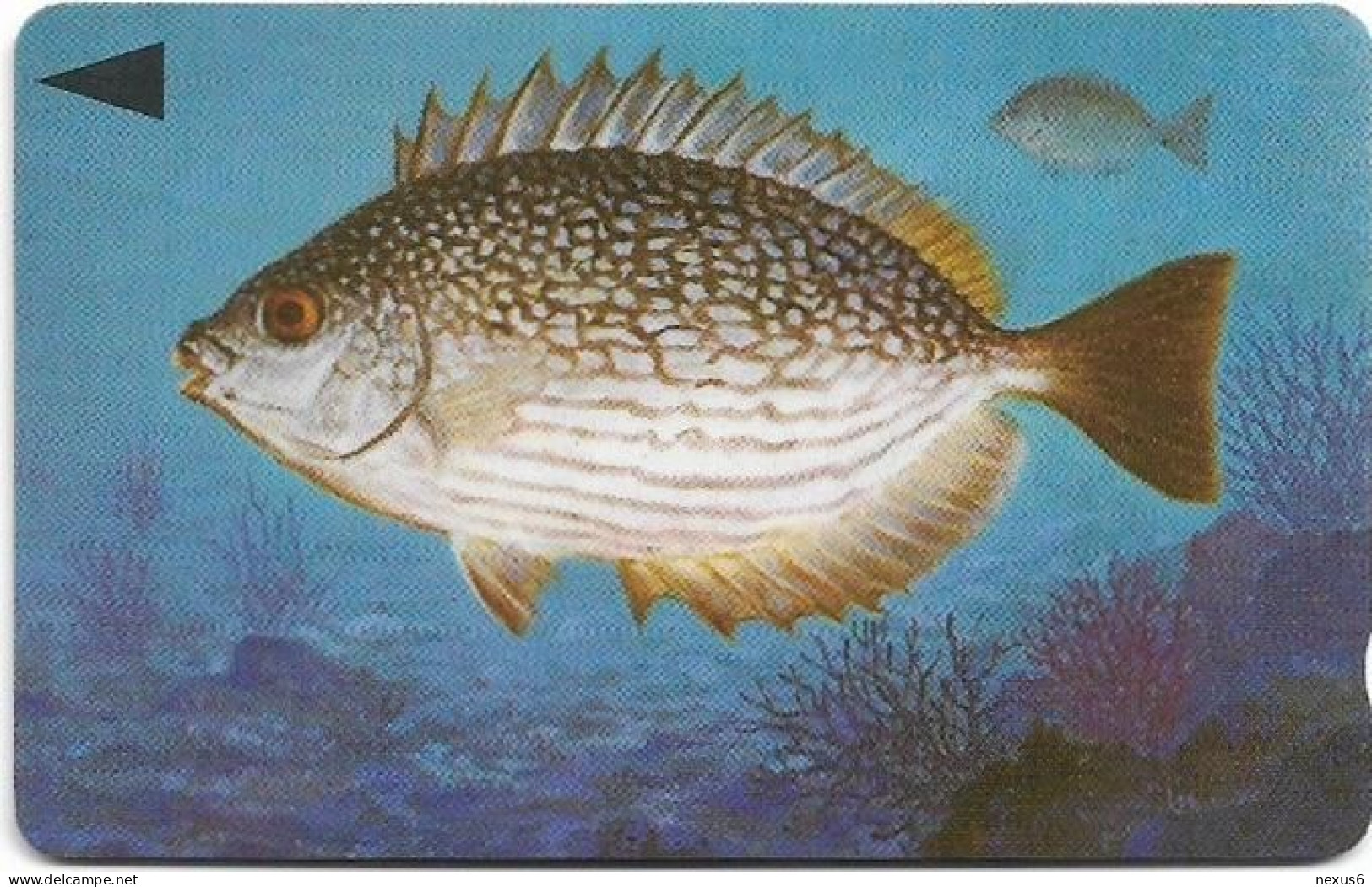 Bahrain - Batelco (GPT) - Fish Of Bahrain - Streaked Rabbitfish - 39BAHQ (Dashed Ø), 1996, 25Units, Used - Bahreïn