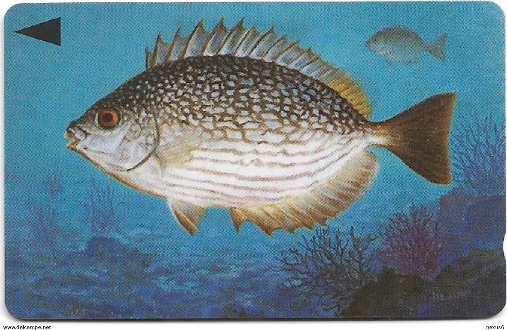 Bahrain - Batelco (GPT) - Fish Of Bahrain - Streaked Rabbitfish - 39BAHQ (Normal 0, Flat Top ''3''), 1996, 25Units, Used - Baharain