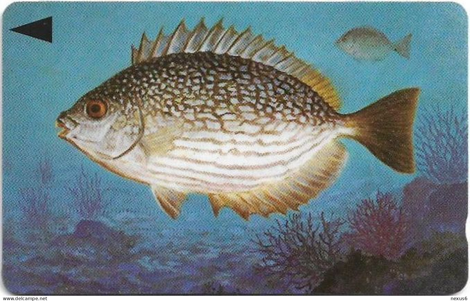 Bahrain - Batelco (GPT) - Fish Of Bahrain - Streaked Rabbitfish - 39BAHQ (Normal 0, Round Top ''3''), 1996, 25U, Used - Bahreïn
