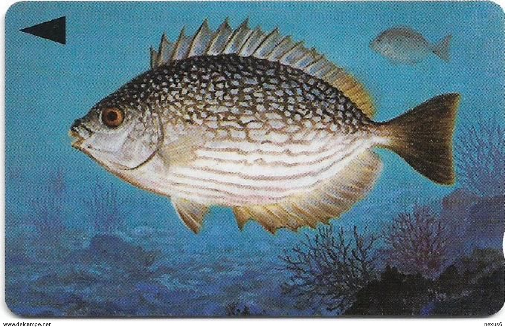 Bahrain - Batelco (GPT) - Fish Of Bahrain - Streaked Rabbitfish - 40BAHG (Normal 0, Flat Top ''3''), 1996, 25Units, Used - Bahrain