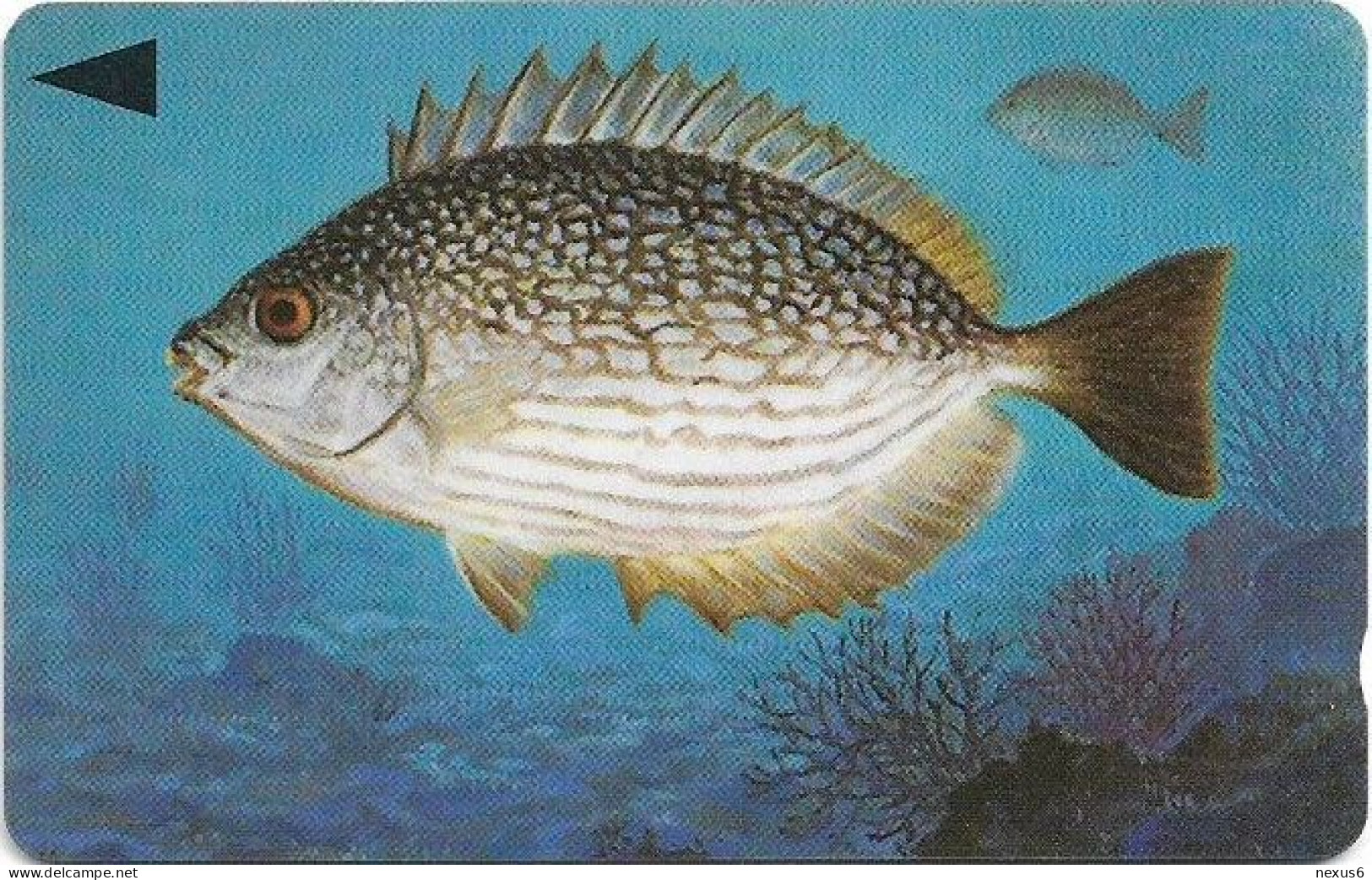 Bahrain - Batelco (GPT) - Fish Of Bahrain - Streaked Rabbitfish - 40BAHG (Normal 0, Round Top ''3''), 1996, 25U, Used - Baharain