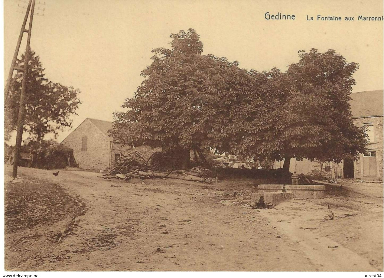 GEDINNE.  LA FONTAINE AUX MARRONIER. - Gedinne