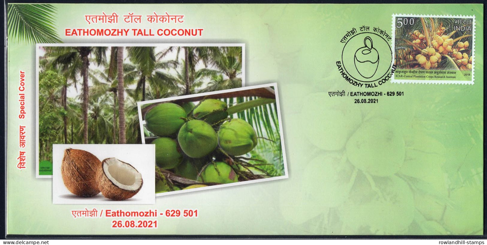 India, 2021, Ezthomozhy Tall COCONUT, Tree, Food, Special Cover, Nature, Fruit, Plant, C23 - Alimentation