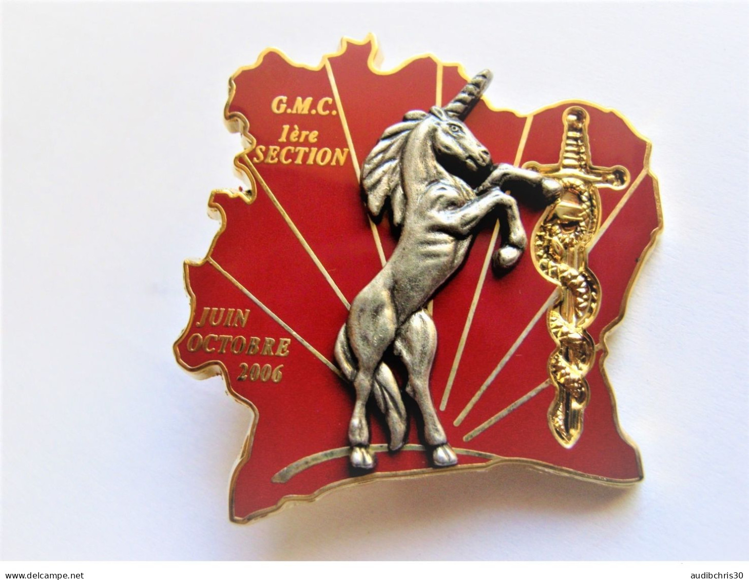 INSIGNE SERVICE DE SANTE DE LA GMC 1° SECTION OPEX LICORNE 2006 DU 1° RM SANTEE 1° REGIMENT MEDICAL A.B PARIS - Services Médicaux