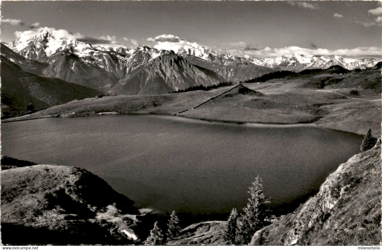 Bettmersee Auf Bettmeralp (19572) - Bettmeralp