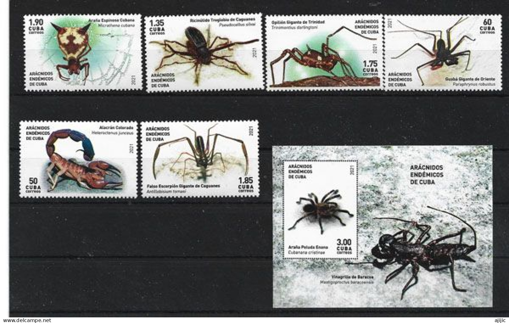 2021.Arachnides Endémiques De Cuba.  6 Timbres + Bloc-Feuillet Neufs **  (Tarentule.Araignée Poilue Naine) - Neufs