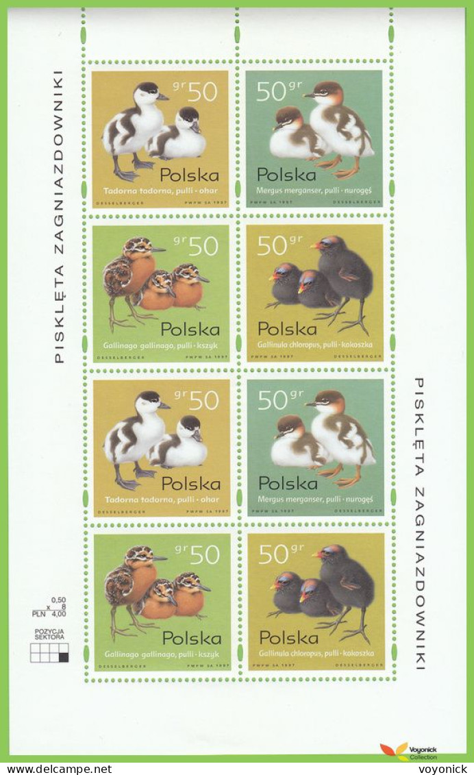 Voyo POLAND 1997  Mi# 3686-3689KB ** MINT Young Waterbirds - Hojas Completas