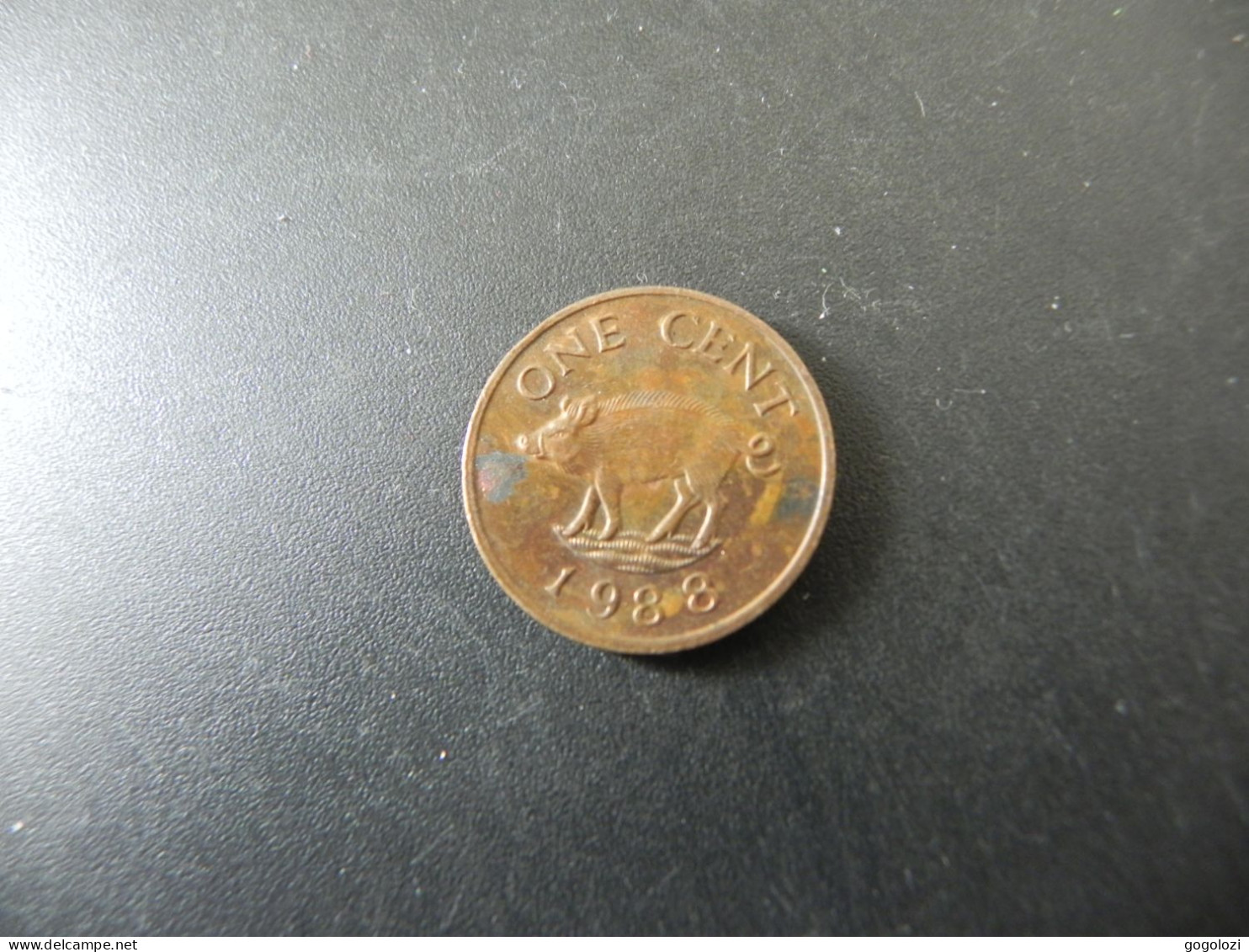 Bermuda 1 Cent 1988 - Bermudes