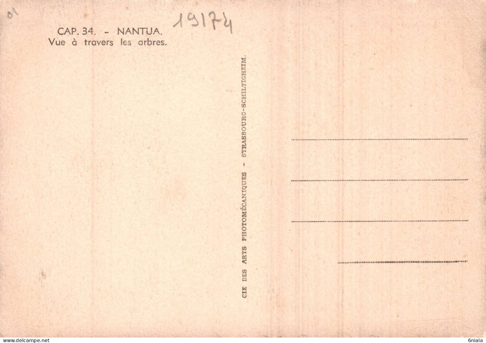 19174 NANTUA Vue à Travers Les Arbres    (2 Scans) 01 - Nantua