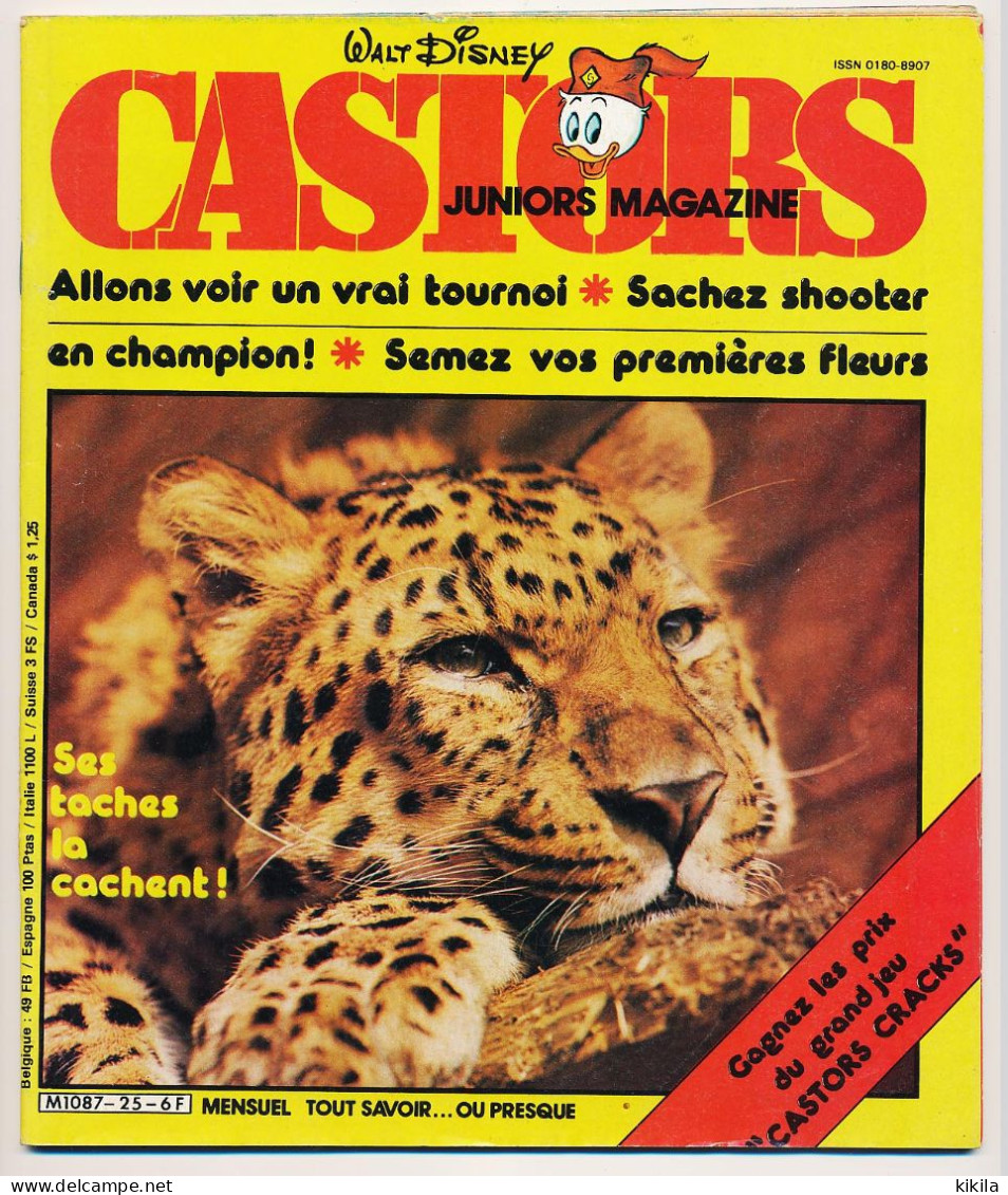 CASTORS JUNIORS Walt Disney Mensuel N° 25  1980 Le Hérisson Les Tournois En 1480  La Dérive Des Continents.. - Disney
