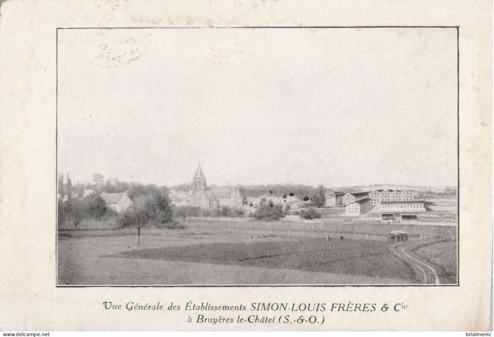 BRUYERES Le CHATEL  Vue Général Des établissements SIMON LOUIS FRERES & Cie - Bruyeres Le Chatel