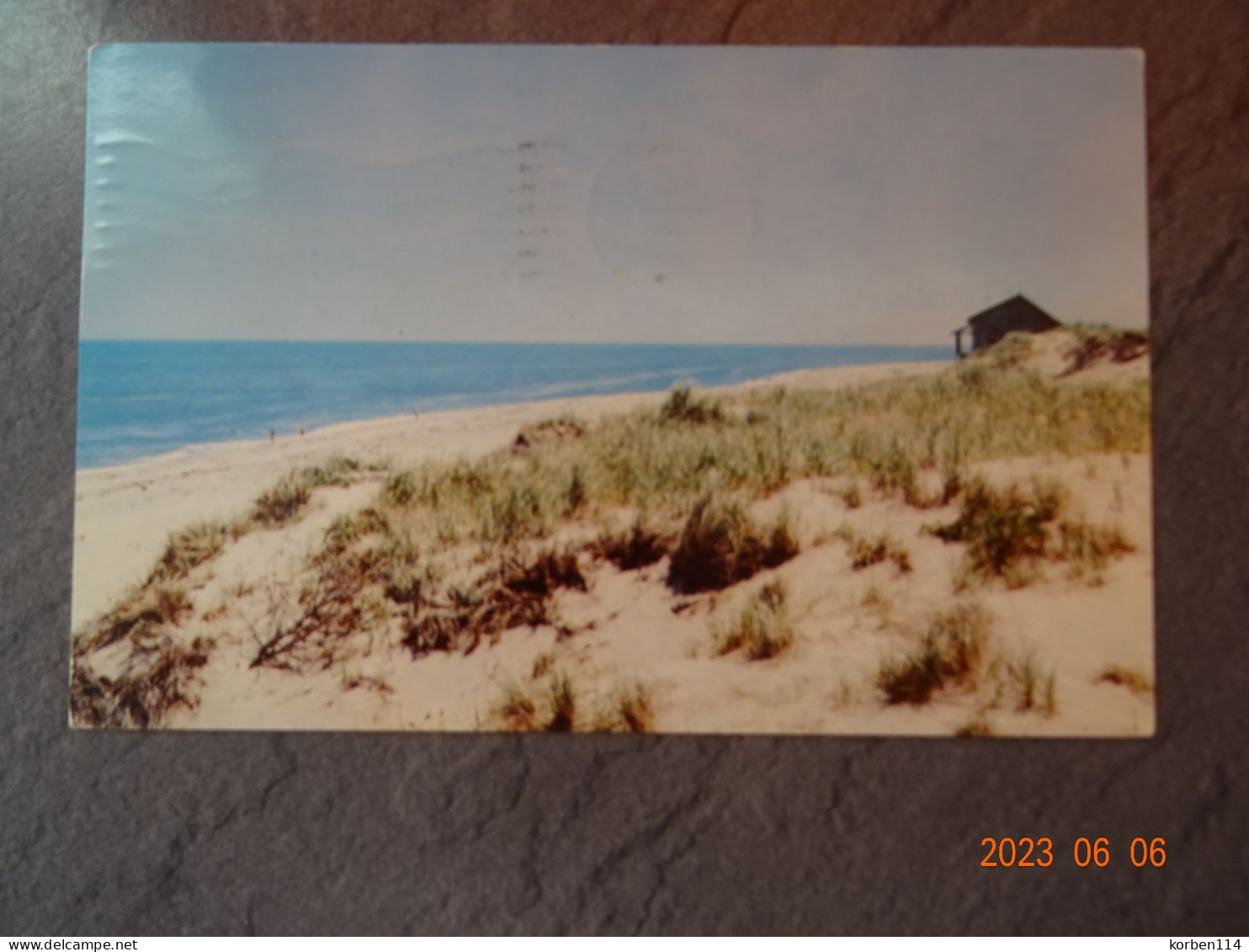 CAPE COD BEACH - Cape Cod